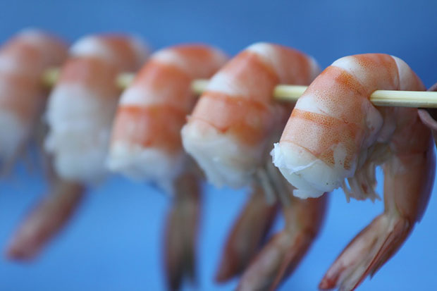 Shrimps In Garlic Oil