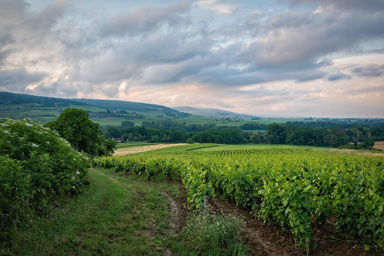 Burgundy France